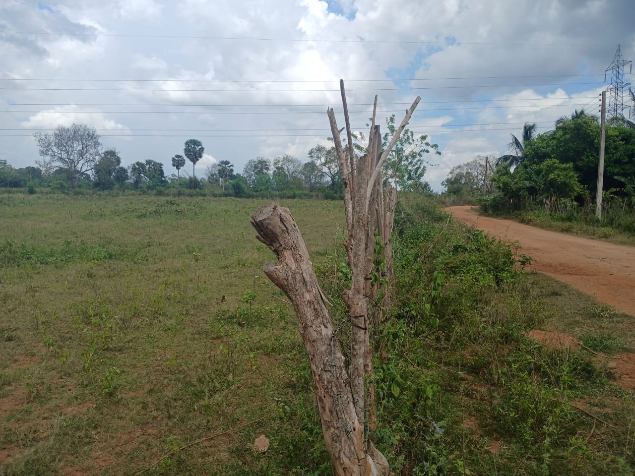 LAND FOR SALE