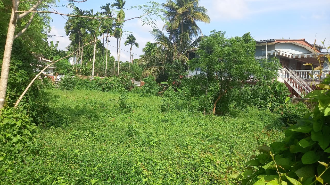 LAND FOR SALE