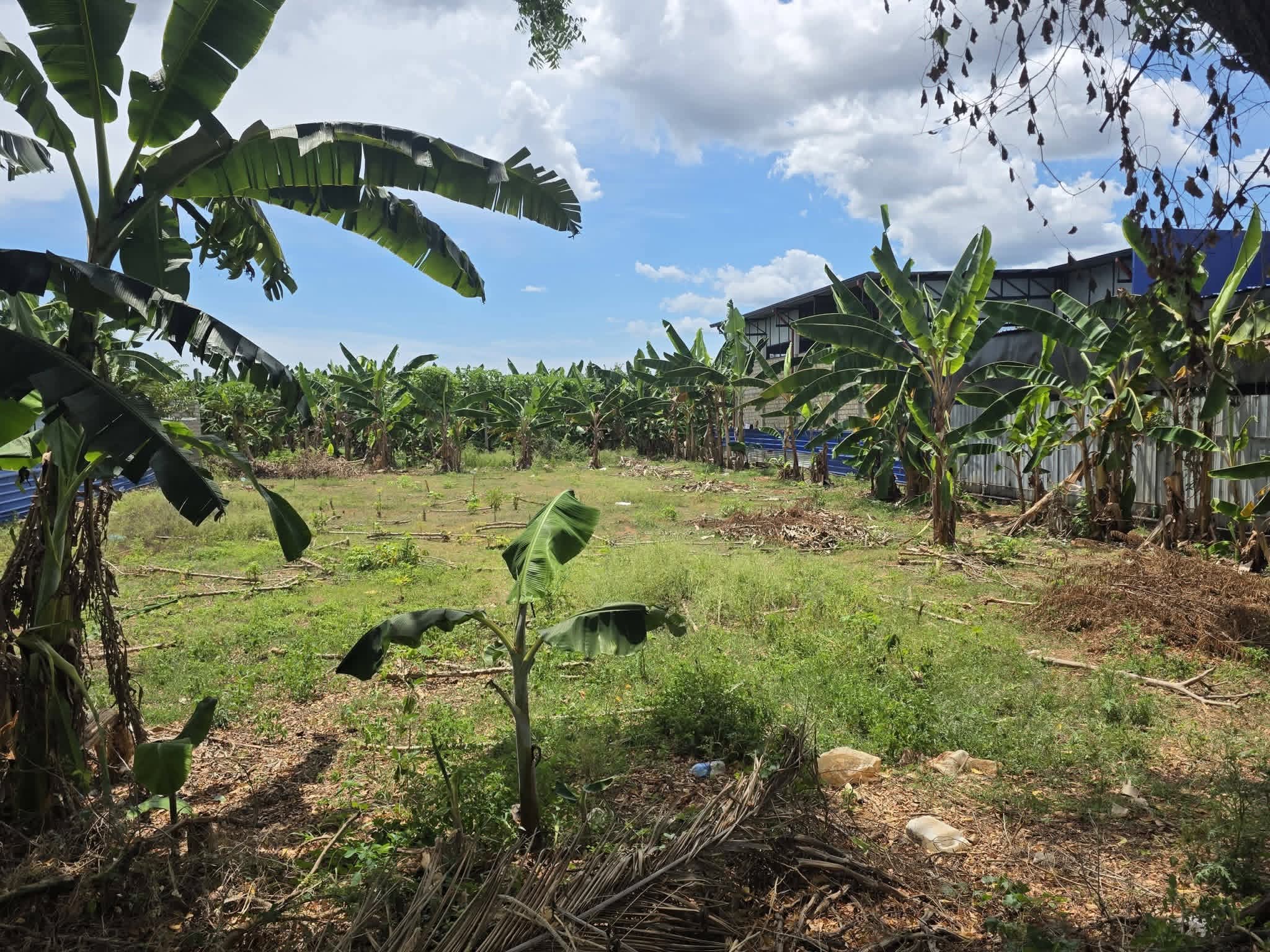 LAND FOR SALE